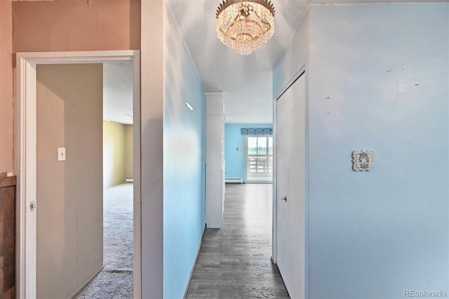 350 S Clinton St Unit 8C, Denver, CO 80247 - hallway featuring a baseboard radiator and wood finished floors