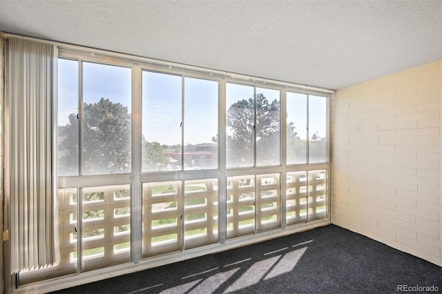 350 S Clinton St Unit 8C, Denver, CO 80247 - view of unfurnished sunroom