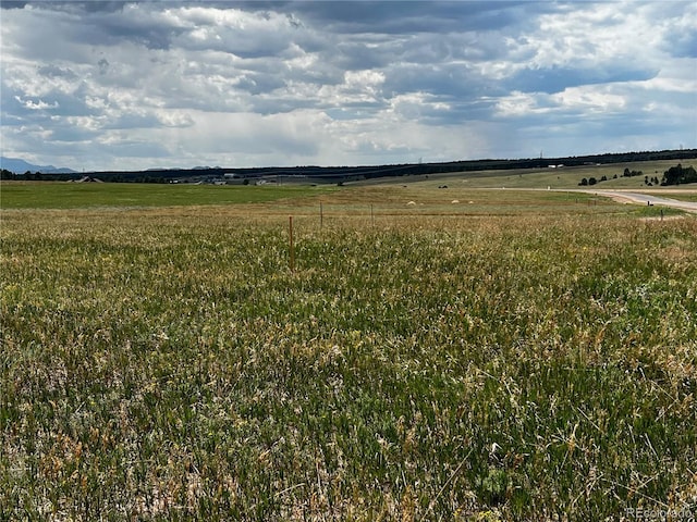 16990 Early Light Dr, Colorado Springs, CO 80908 - view of local wilderness featuring a rural view