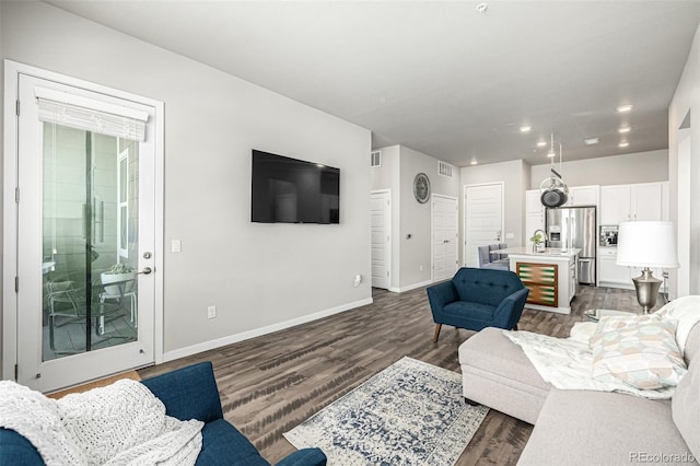 living room featuring sink and dark wood-type flooring