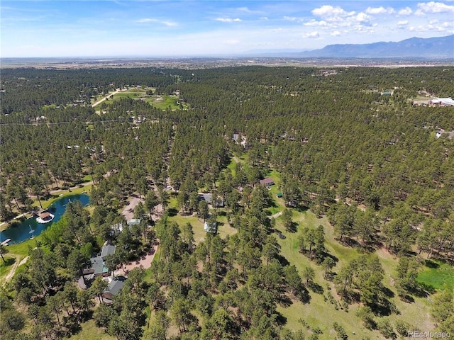 drone / aerial view with a water and mountain view