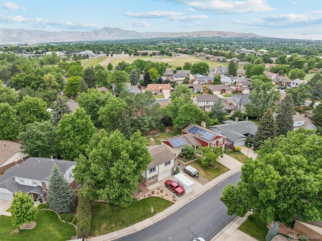 2013 S Holland St, Lakewood, CO 80227 - photo 28