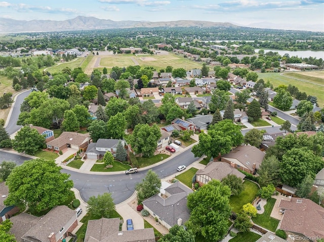 2013 S Holland St, Lakewood, CO 80227 - photo 30