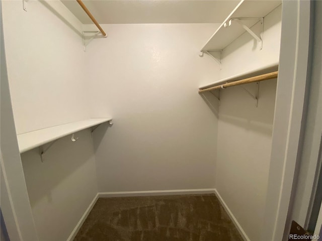 540 S Forest St Unit A2, Denver, CO 80246 - photo 19
