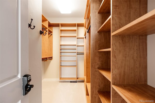 view of walk in closet