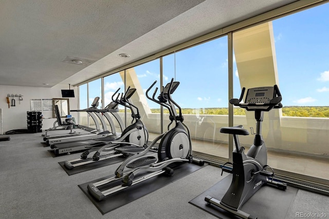 exercise room featuring a textured ceiling and a wealth of natural light