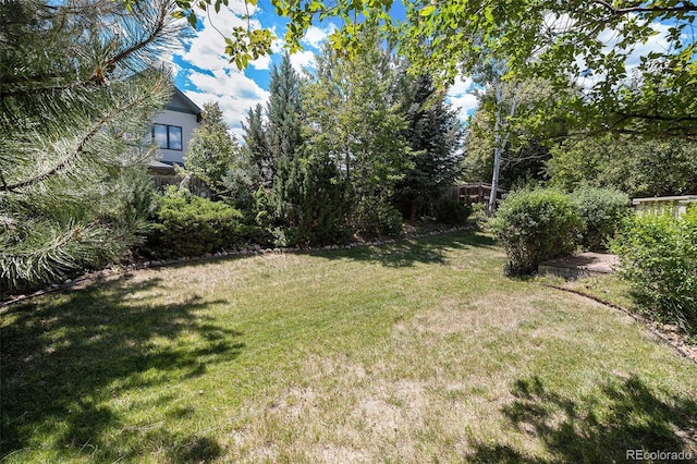 11868 W Progress Ave, Littleton, CO 80127 - view of green lawn