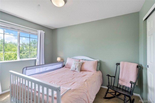 2261 Alpine Dr, Erie, CO 80516 - photo 32