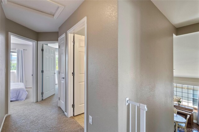 2261 Alpine Dr, Erie, CO 80516 - photo 29