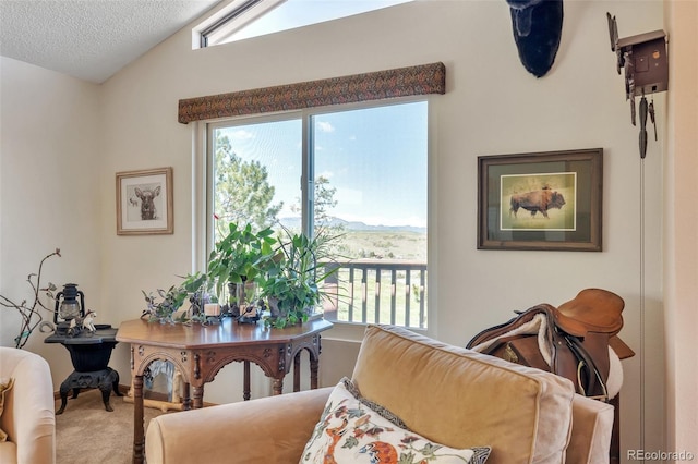 carpeted living area featuring lofted ceiling and a textured ceiling