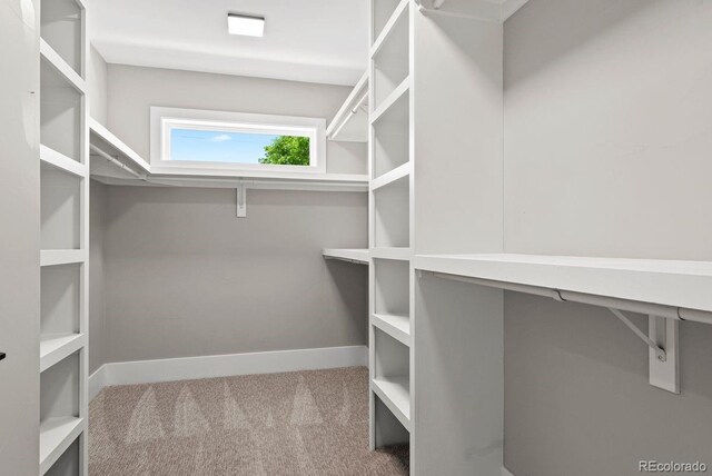 1500 S Elizabeth St, Denver, CO 80210 - spacious closet with carpet