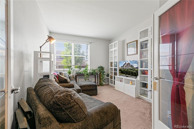 5230 Periwinkle Way, Henderson, CO 80640 - photo 8