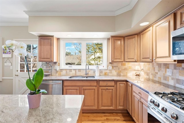 kitchen with light stone countertops, appliances with stainless steel finishes, a sink, and ornamental molding