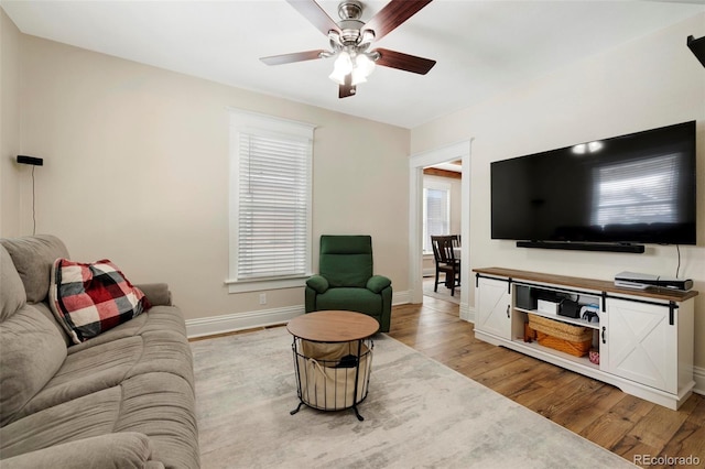 living room featuring ceiling fan and light hardwood / wood-style flooring