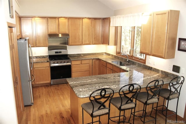 9274 Sandy Ln, Conifer, CO 80433 - kitchen featuring appliances with stainless steel finishes, a sink, a peninsula, dark stone countertops, and light wood-type flooring