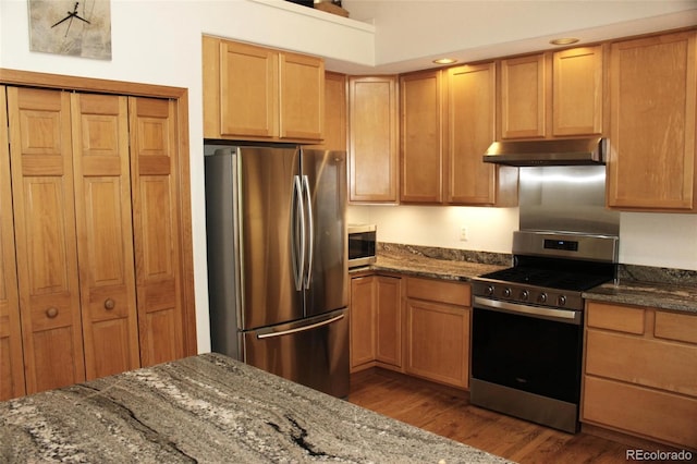 9274 Sandy Ln, Conifer, CO 80433 - kitchen featuring stainless steel appliances, under cabinet range hood, wood finished floors, and dark stone countertops
