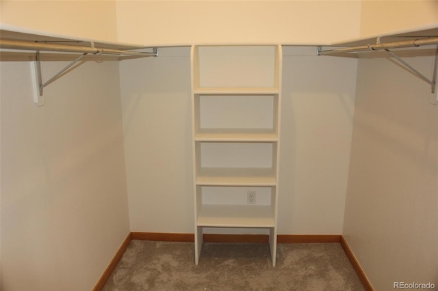 9274 Sandy Ln, Conifer, CO 80433 - spacious closet featuring carpet floors