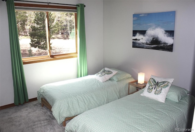 9274 Sandy Ln, Conifer, CO 80433 - bedroom featuring carpet floors