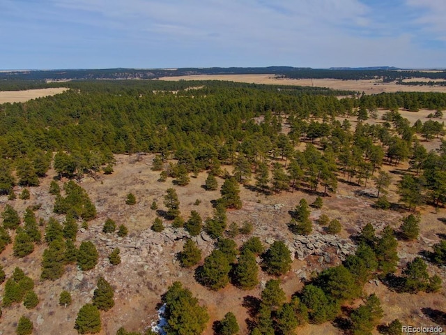 18673 N Elbert Rd, Elbert, CO 80106 - photo 6