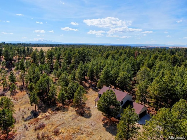 18673 N Elbert Rd, Elbert, CO 80106 - photo 8