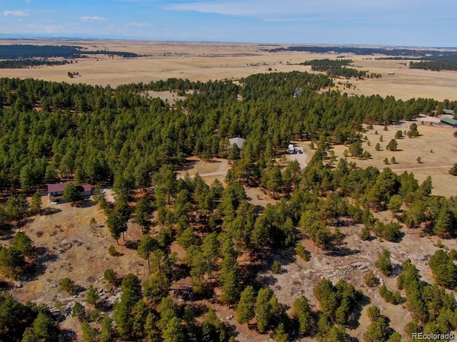 18673 N Elbert Rd, Elbert, CO 80106 - photo 10