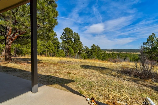 18673 N Elbert Rd, Elbert, CO 80106 - photo 11