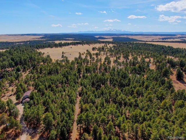 18673 N Elbert Rd, Elbert, CO 80106 - photo 12