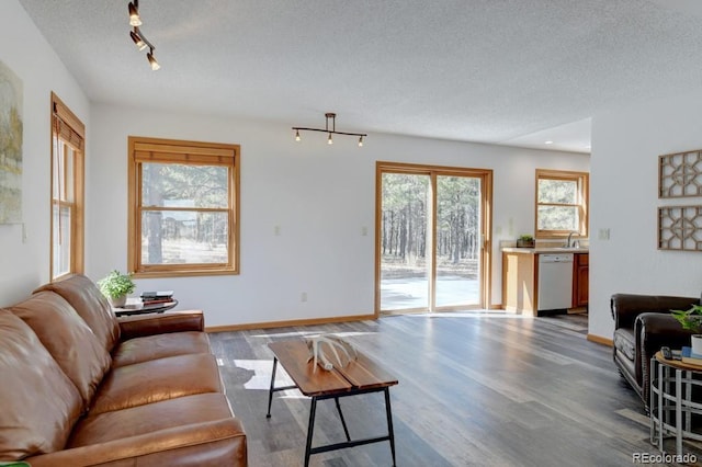 18673 N Elbert Rd, Elbert, CO 80106 - photo 17