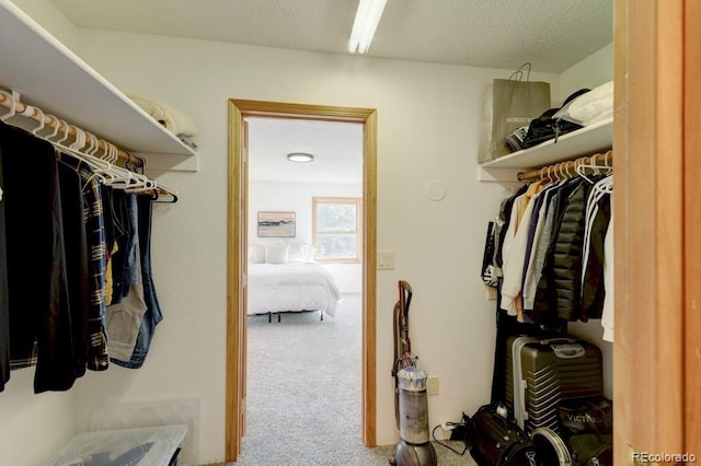 18673 N Elbert Rd, Elbert, CO 80106 - photo 29