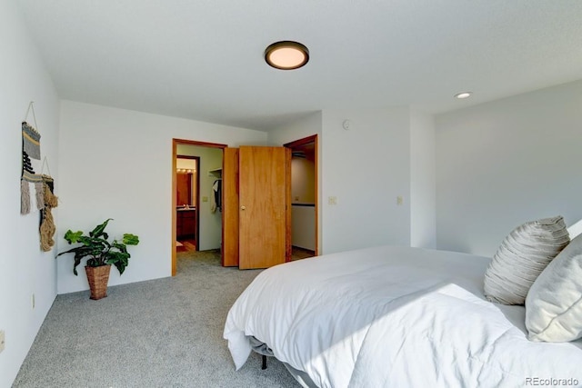 18673 N Elbert Rd, Elbert, CO 80106 - photo 31