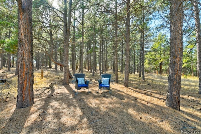 18673 N Elbert Rd, Elbert, CO 80106 - photo 34
