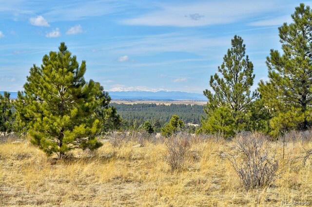 18673 N Elbert Rd, Elbert, CO 80106 - photo 39
