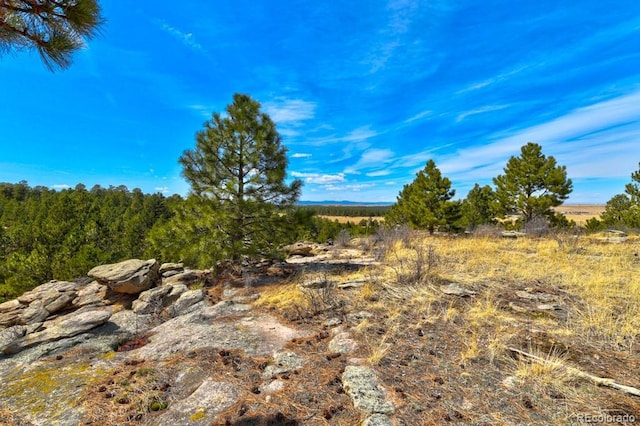 18673 N Elbert Rd, Elbert, CO 80106 - photo 40