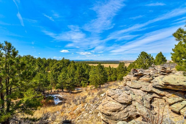 18673 N Elbert Rd, Elbert, CO 80106 - photo 41