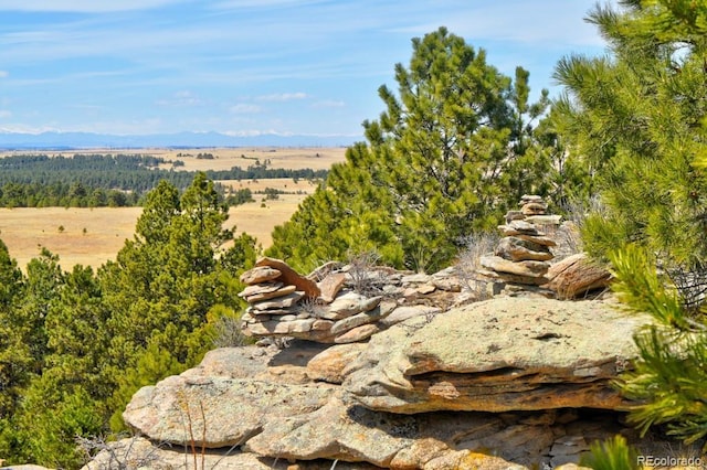 18673 N Elbert Rd, Elbert, CO 80106 - photo 42