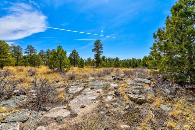 18673 N Elbert Rd, Elbert, CO 80106 - photo 43