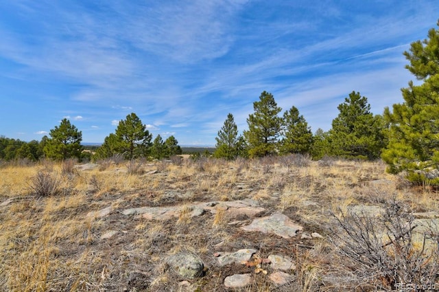 18673 N Elbert Rd, Elbert, CO 80106 - photo 44