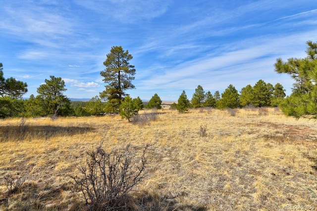 18673 N Elbert Rd, Elbert, CO 80106 - photo 45
