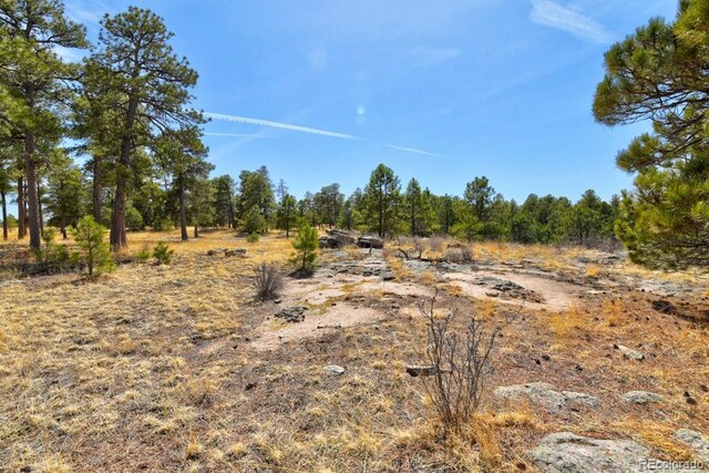 18673 N Elbert Rd, Elbert, CO 80106 - photo 46