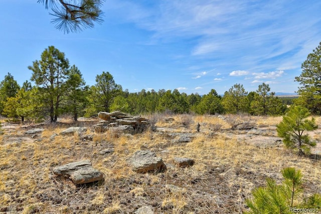 18673 N Elbert Rd, Elbert, CO 80106 - photo 47