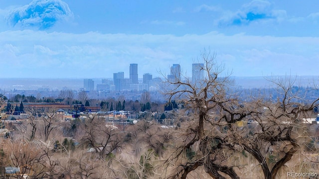 7022 Secrest Ct, Arvada, CO 80007 - view of city