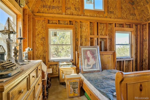 4178 County Road 504, Walsenburg, CO 81089 - bedroom with multiple windows and lofted ceiling