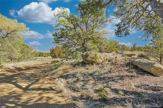 4178 County Road 504, Walsenburg, CO 81089 - view of local wilderness