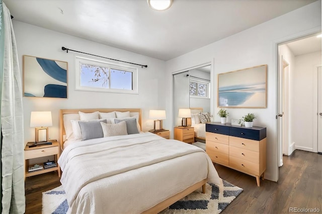 bedroom featuring dark hardwood / wood-style floors and a closet