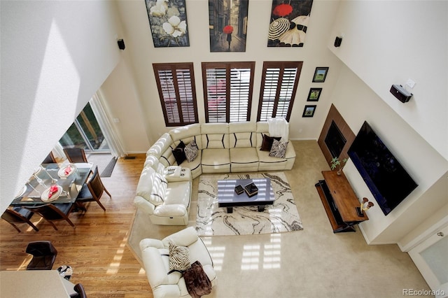 living room featuring wood-type flooring and high vaulted ceiling