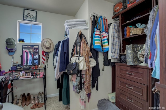 spacious closet with light carpet