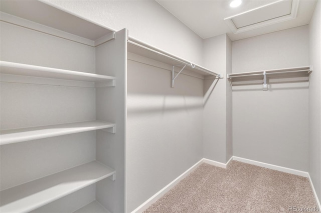 spacious closet with carpet