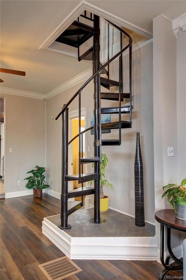 114 N 7th St, Colorado Springs, CO 80905 - stairs featuring baseboards, ceiling fan, ornamental molding, and wood finished floors
