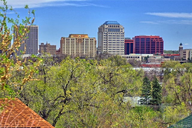 114 N 7th St, Colorado Springs, CO 80905 - view of city