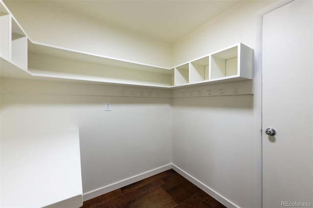 spacious closet featuring hardwood / wood-style floors